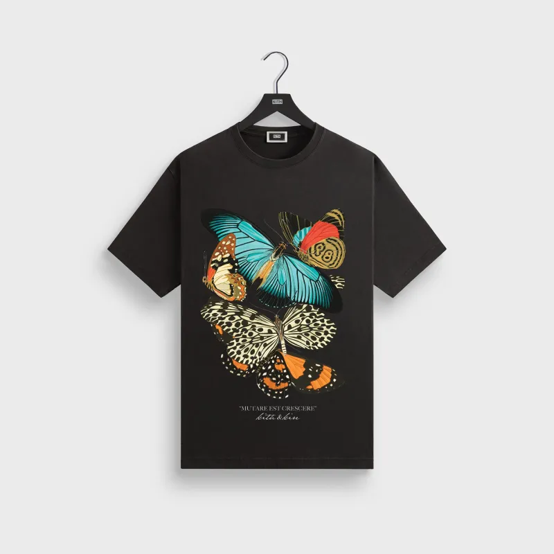 Kith Butterfly Vintage Tee - Black sold by Kith