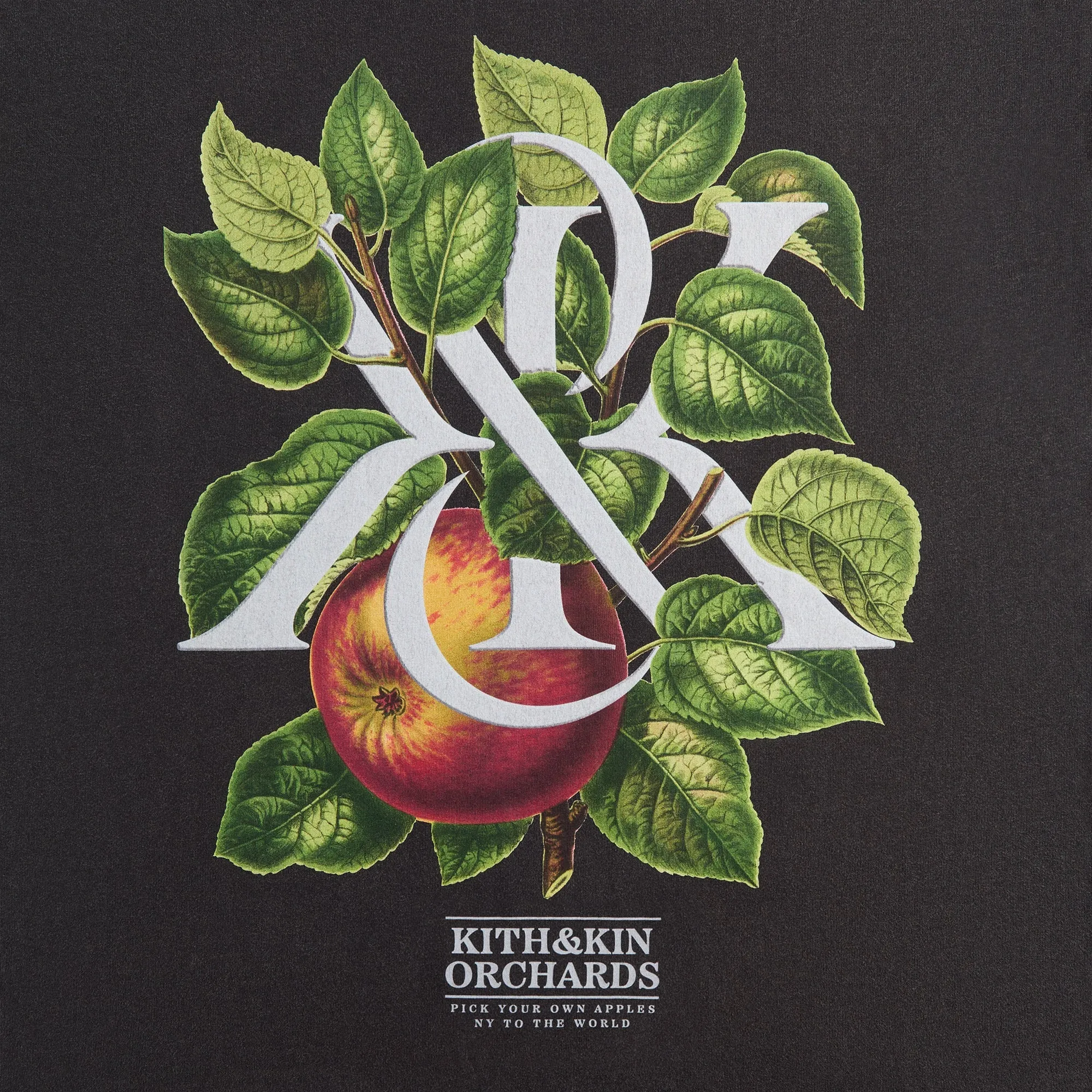 Kith & Kin Orchards Vintage Tee - Black sold by Kith product image thumbnail 4