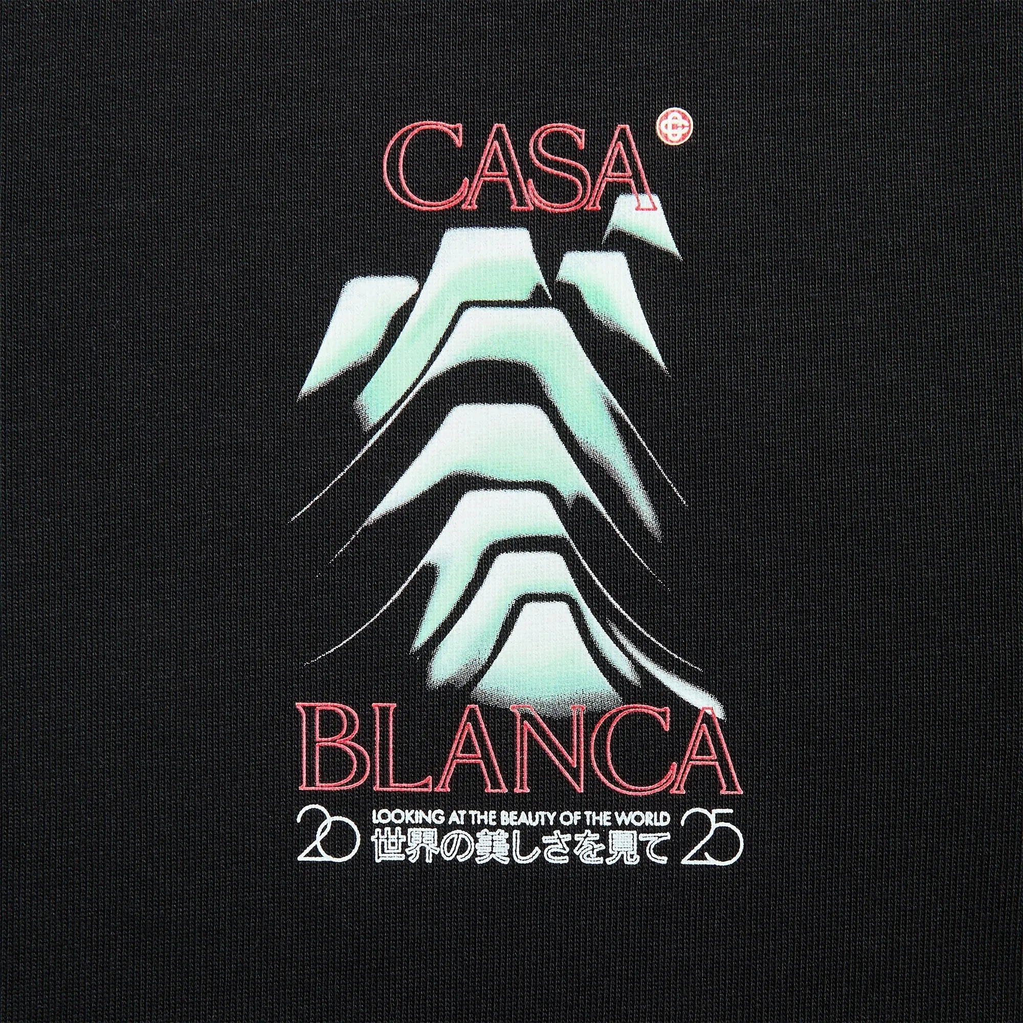 Casablanca Frosty Mountain Screen Printed Oversized Tee - Black sold by Kith product image thumbnail 3