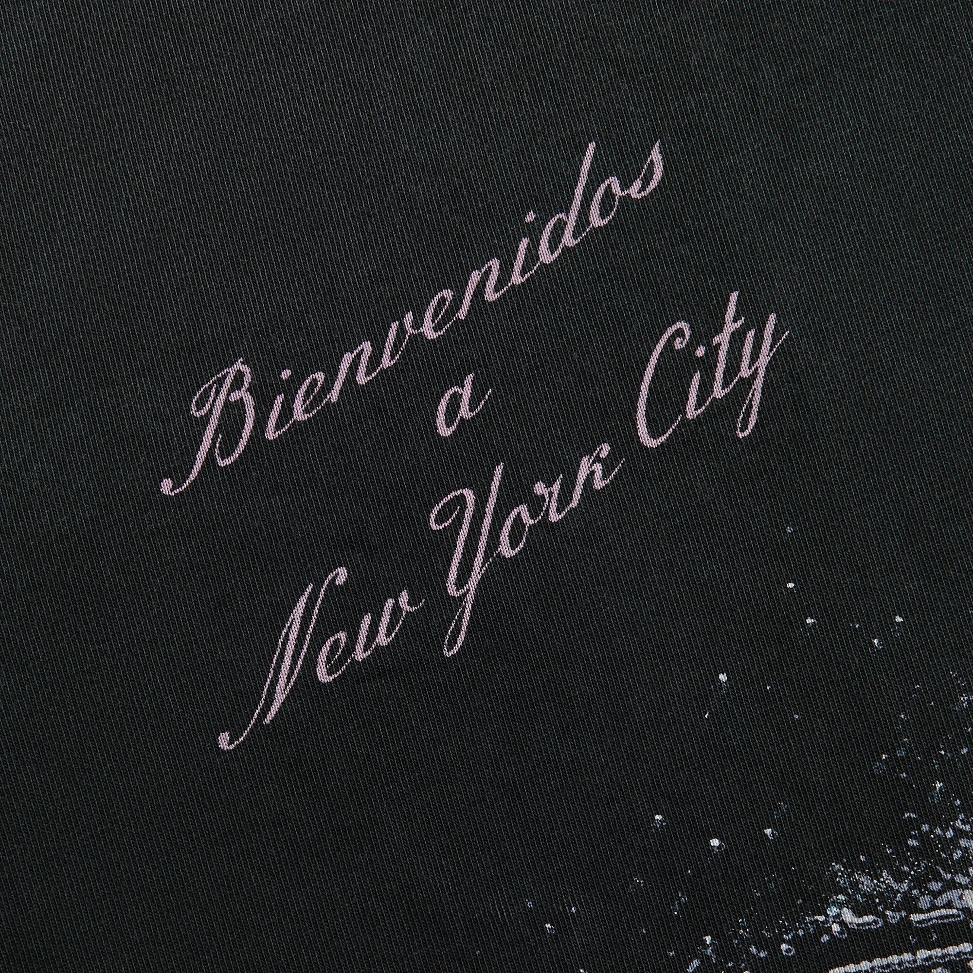 Willy Chavarria Free Willy Buffalo Tee - Black sold by Kith product image thumbnail 3