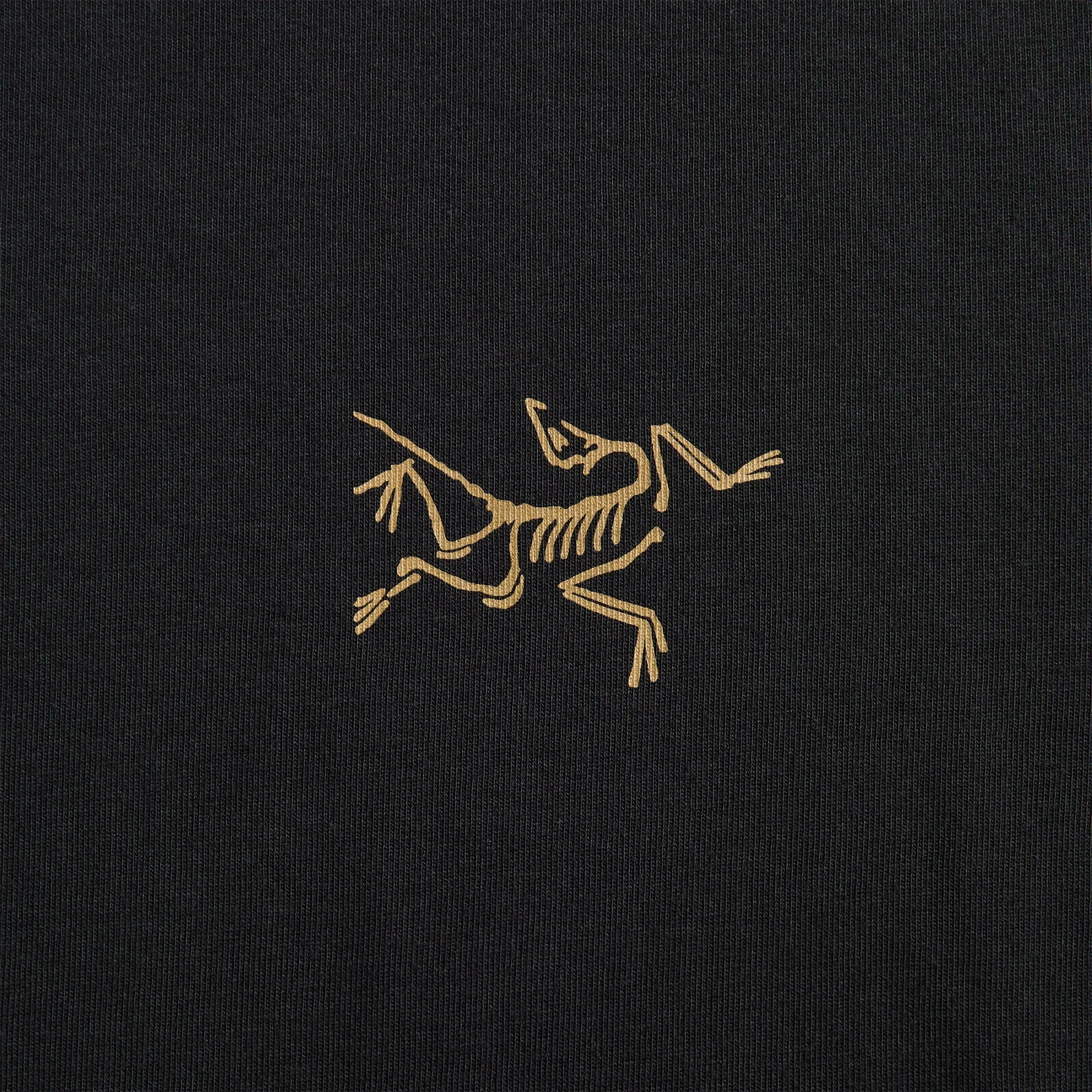 Arc'teryx Kragg Cotton Long Sleeve - 24K Black sold by Kith product image thumbnail 3