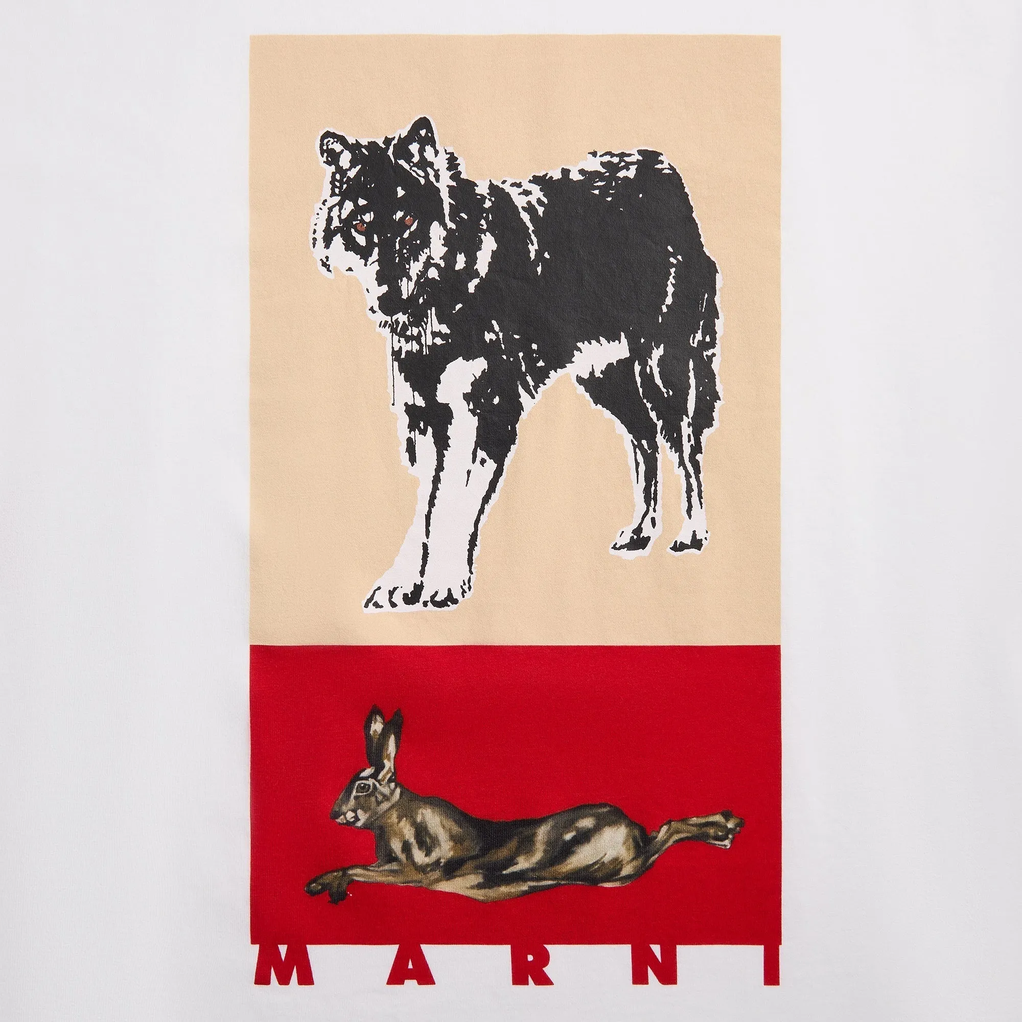 Marni Tee - Lily White sold by Kith product image thumbnail 3