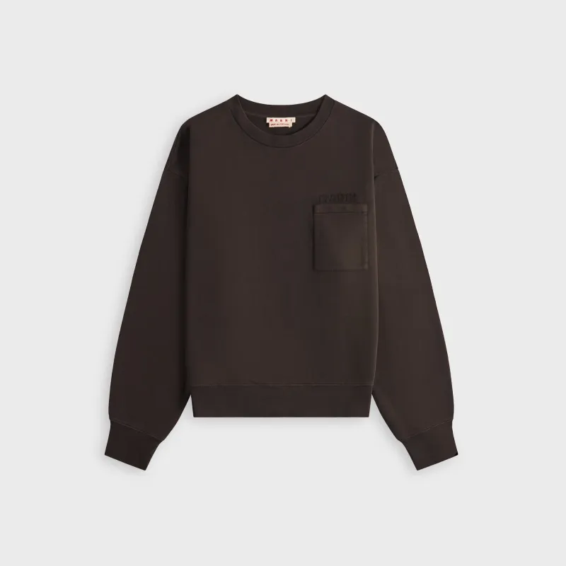 Marni Sweatshirt - Cacao made by Marni