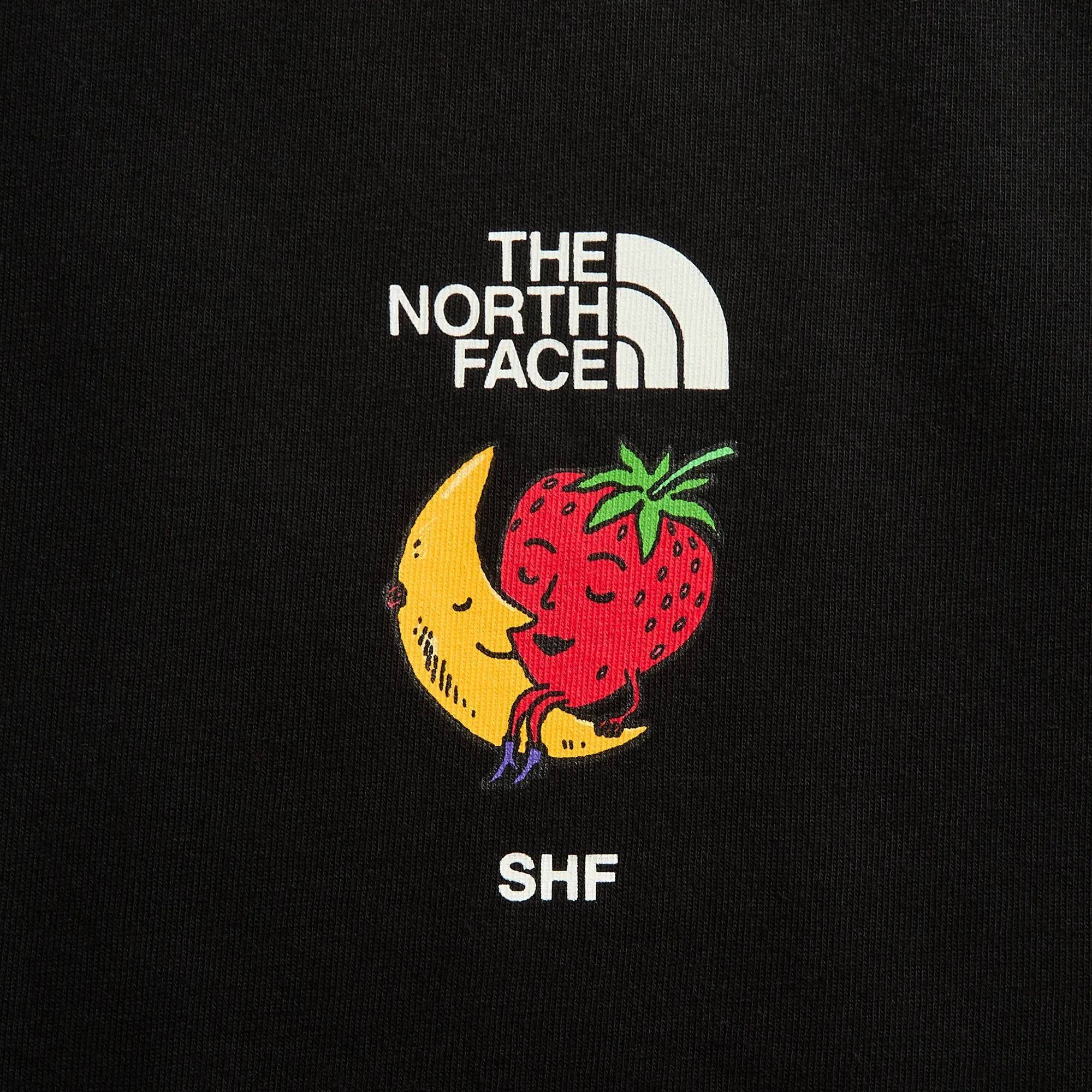 The North Face x Sky High Farms Tee - Black sold by Kith product image thumbnail 3