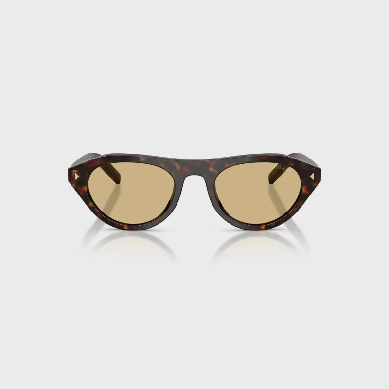 Prada PR B15S Acetate Sunglasses - Root Tortoise / Light Brown made by Prada