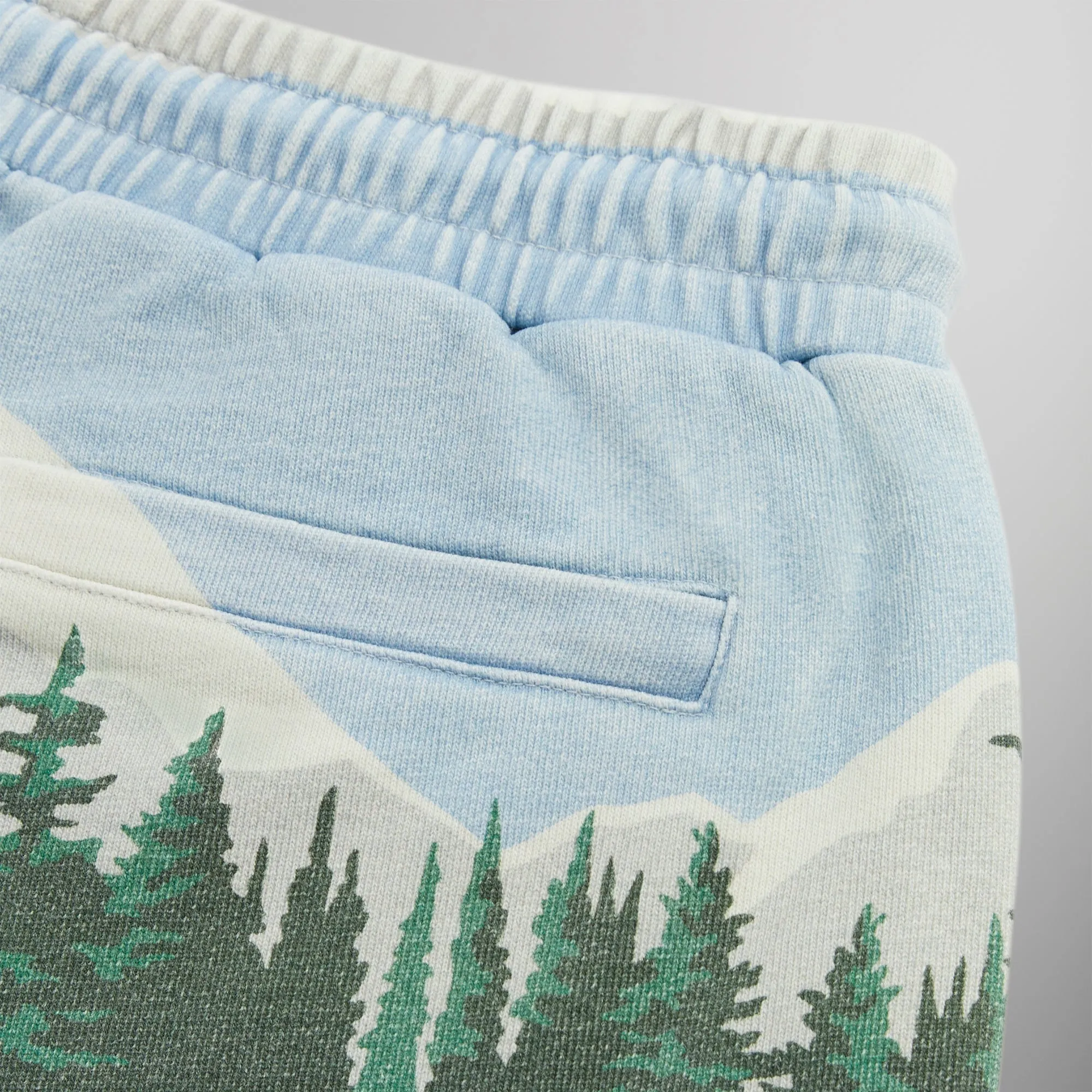 Kith Scenic Fleece Curtis Short - Larimar sold by Kith product image thumbnail 5
