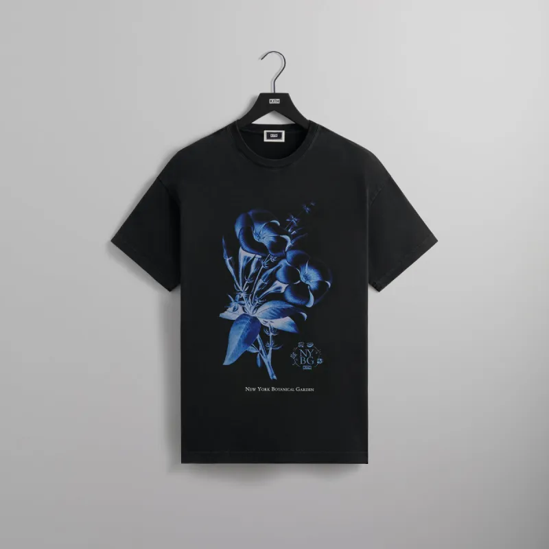 Kith for New York Botanical Garden Allamenda Vintage Tee - Black sold by Kith
