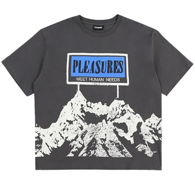 Pleasures Human Needs Heavyweight Shirt Charcoal Grey sold by Kong