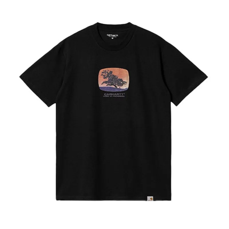 Carhartt WIP SS Seeds T shirt Black sold by Kong