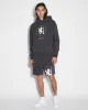 LION BIGGIE HOODIE FADED BLACK sold by Ksubi