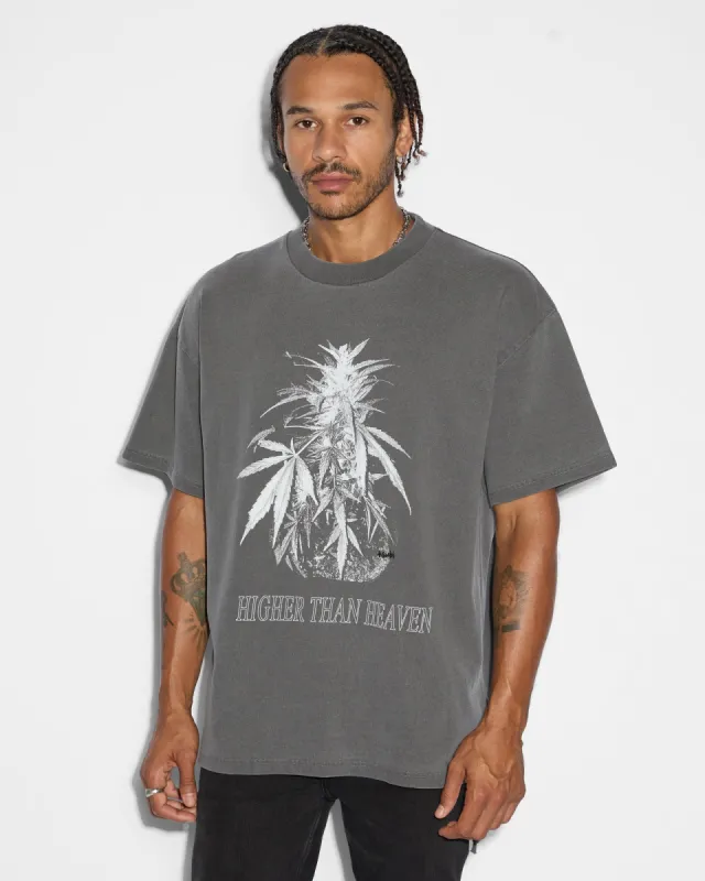 CANNABIS EKCESS SS TEE CHARCOAL sold by Ksubi