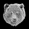 Bear Face  - Women's Premium Blend Word Art T-Shirt sold by LA Pop Art