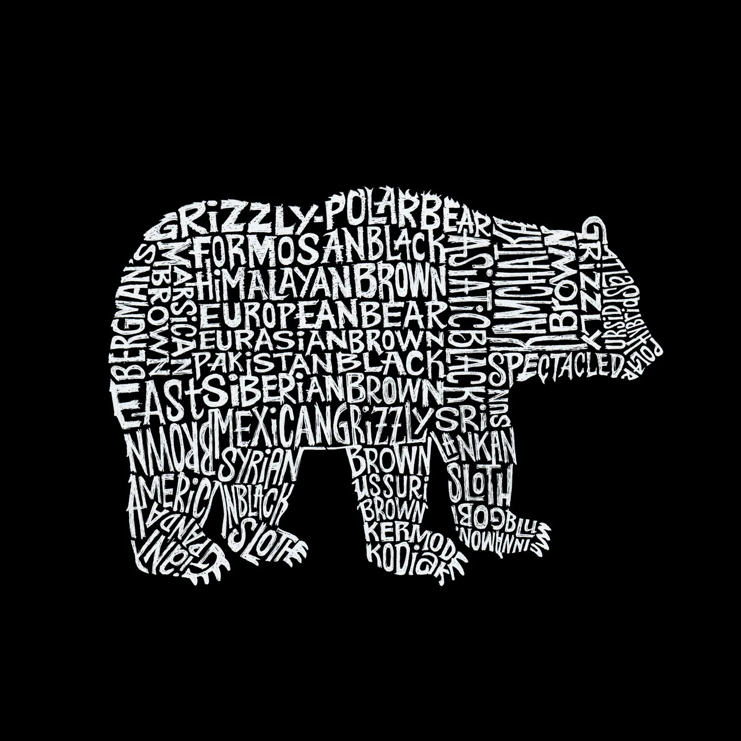 Bear Species - Women's Premium Blend Word Art T-Shirt sold by LA Pop Art product image thumbnail 2