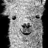 Women's Plus Size Word Art T-shirt - Llama sold by LA Pop Art