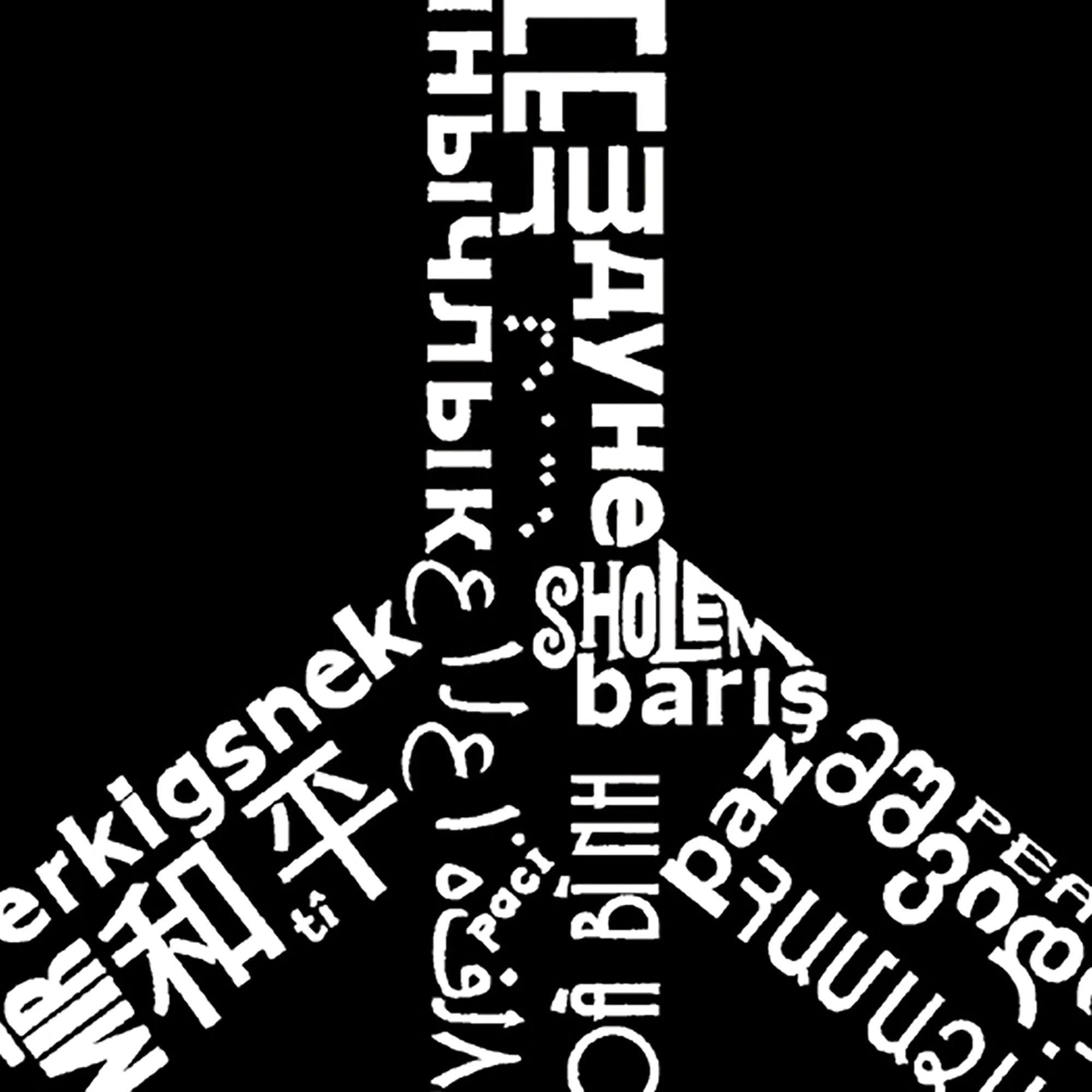 Women's Plus Size Word Art V-Neck - THE WORD PEACE IN 77 LANGUAGES sold by LA Pop Art product image thumbnail 3