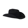 Raffia Cowboy - Noir sold by Lack Of Color