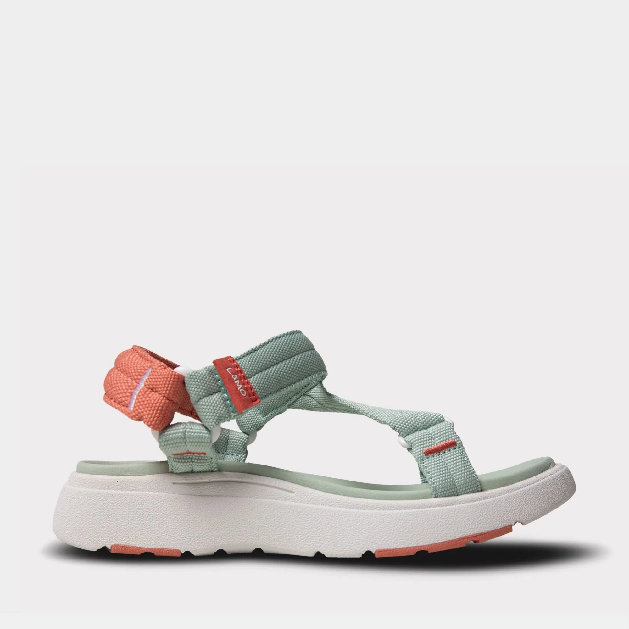 Solstice sold by Lamo