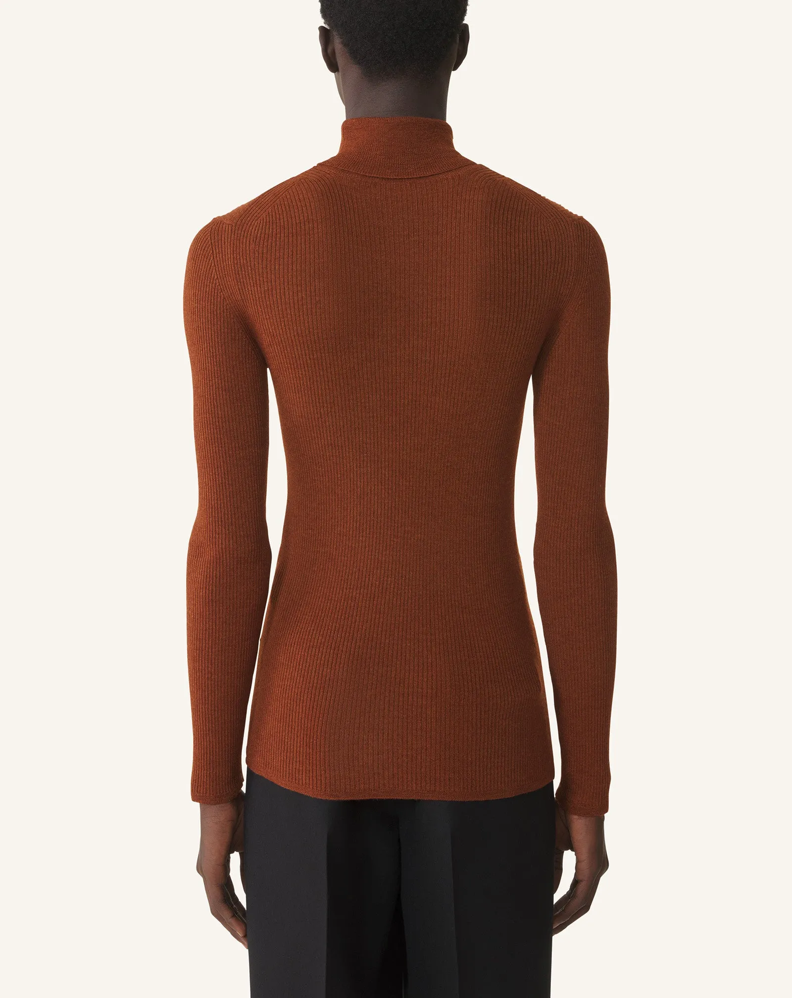 TURTLENECK SWEATER IN MERINO WOOL AND SILK sold by Lanvin product image thumbnail 4