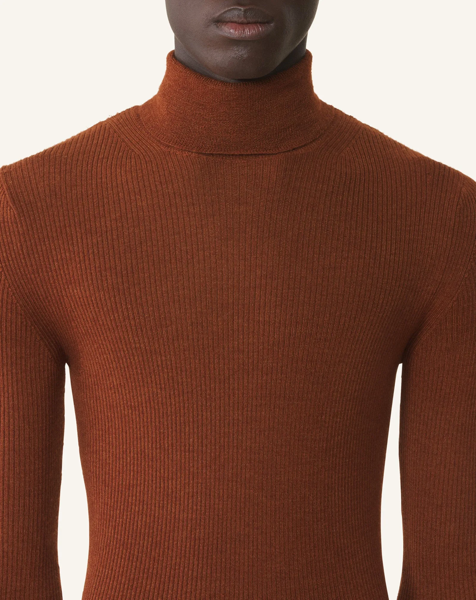 TURTLENECK SWEATER IN MERINO WOOL AND SILK sold by Lanvin product image thumbnail 5