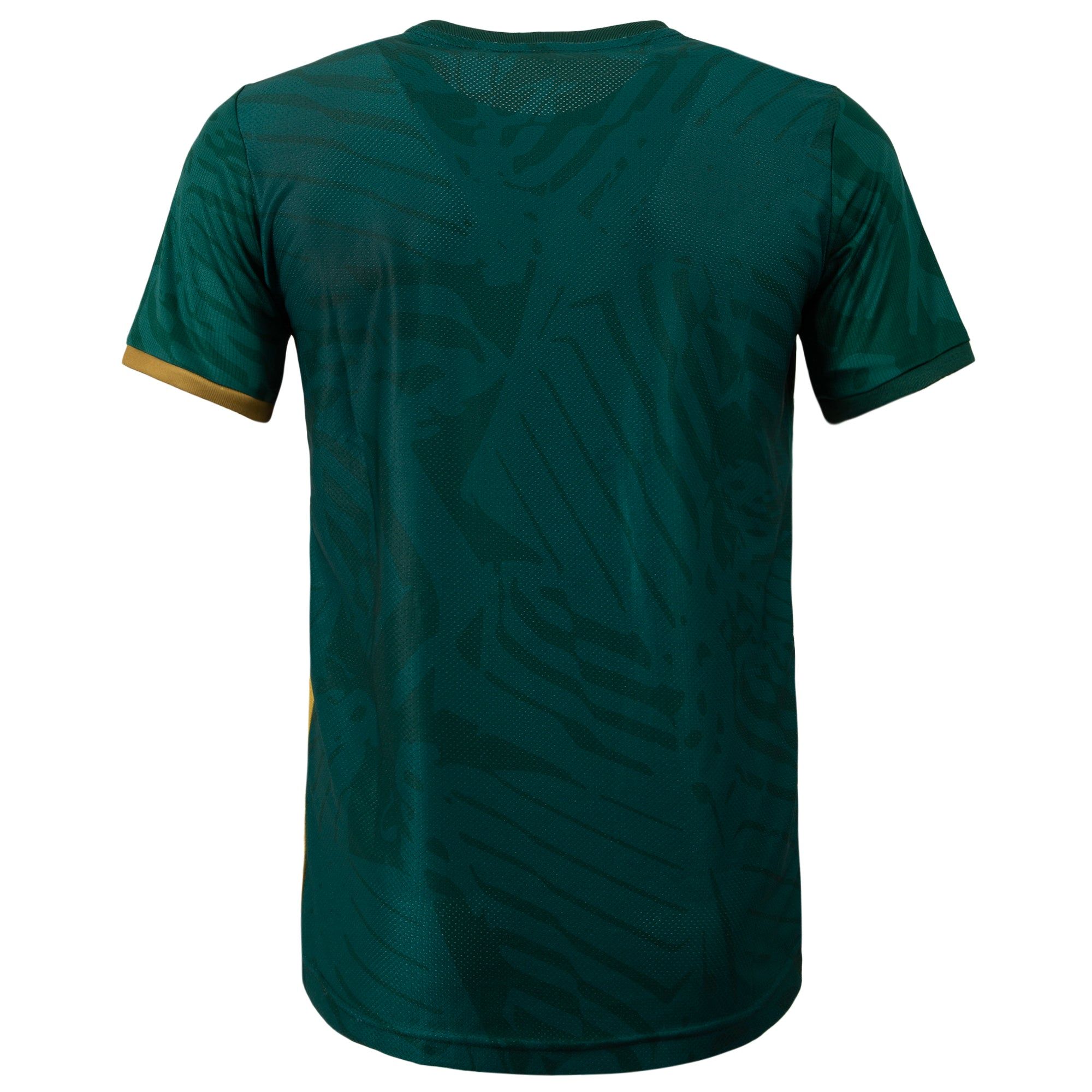 2321401-SAFA Maillot Match 23 M vert | Maillot Pro Extérieur Homme Bafana Bafana sold by Le Coq Sportif product image thumbnail 2