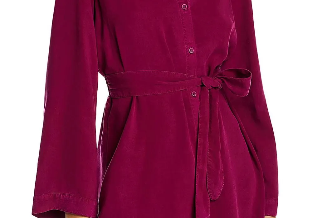 Bella Dahl Belted Mini Shirt Dress Pink Size XS sold by Leota product image thumbnail 3