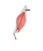 Key Card Holder sold by Lesportsac