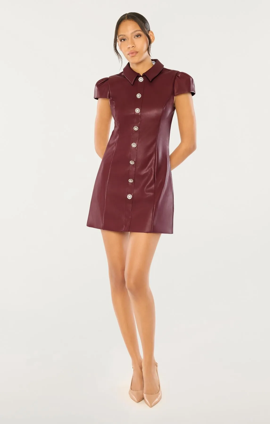 Anika Dress sold by Likely product image thumbnail 2