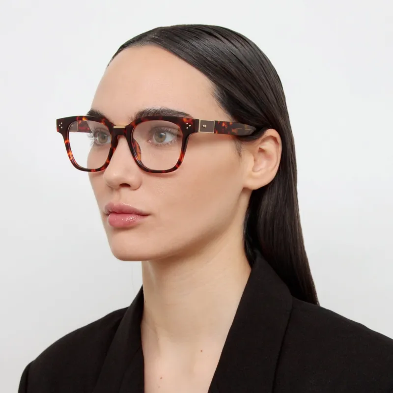 Sanchez Optical D-Frame in Tortoiseshell (Asian Fit) sold by Linda Farrow