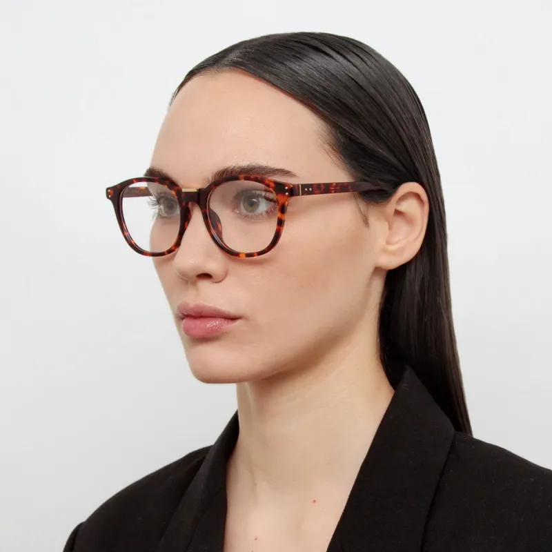 Powell Optical D-Frame in Tortoiseshell sold by Linda Farrow