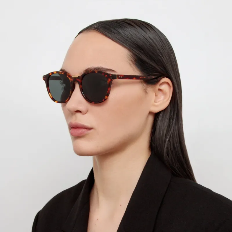 Powell D-Frame Sunglasses in Tortoiseshell sold by Linda Farrow