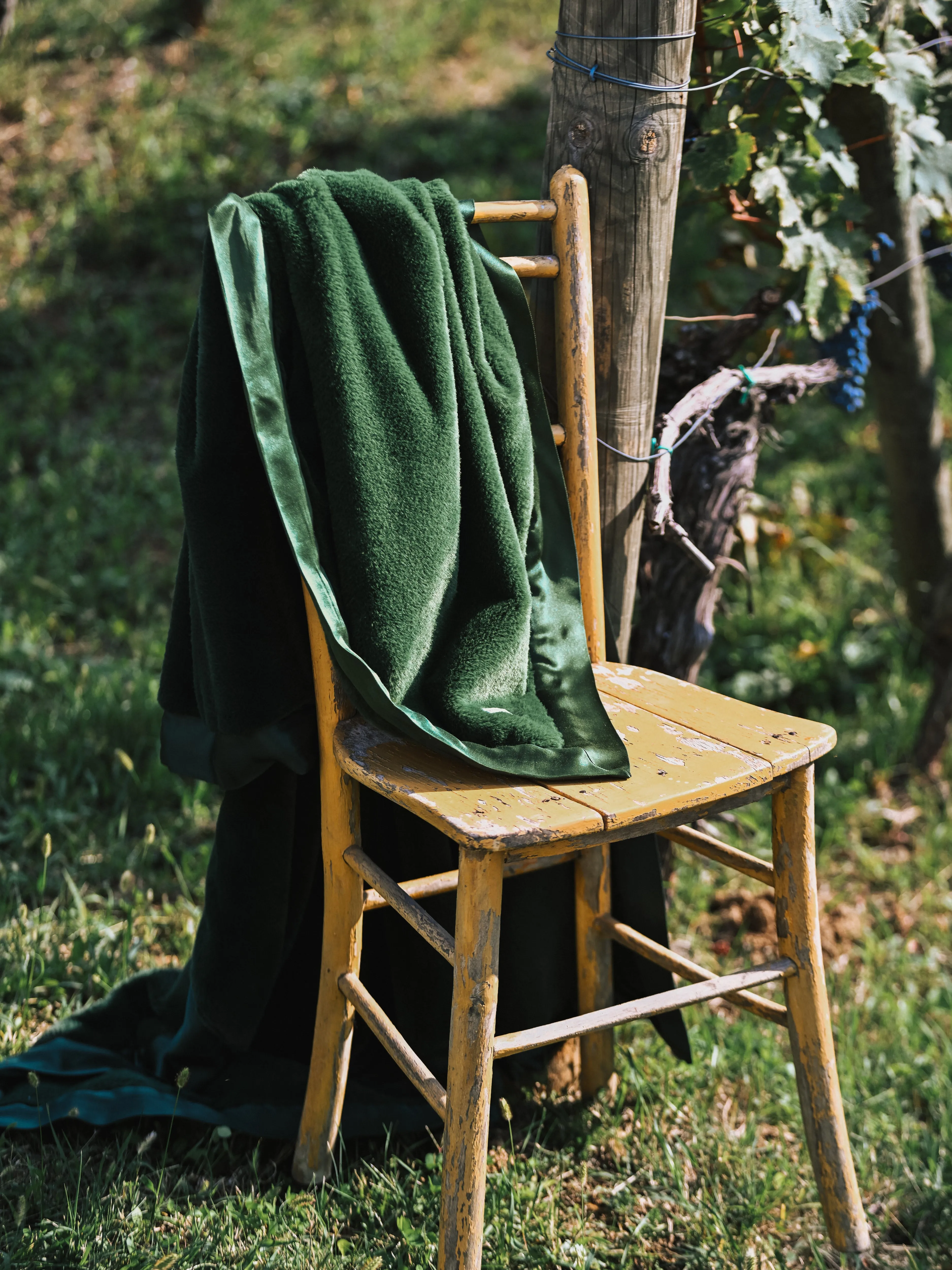 Luxe™ Vineyard Collection Luxury Home Throws (45" x 59") sold by Little Giraffe product image thumbnail 5