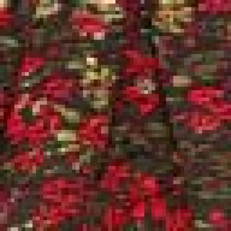 Floral Brocade Cap Sleeve A Line Dress made by Lord & Taylor