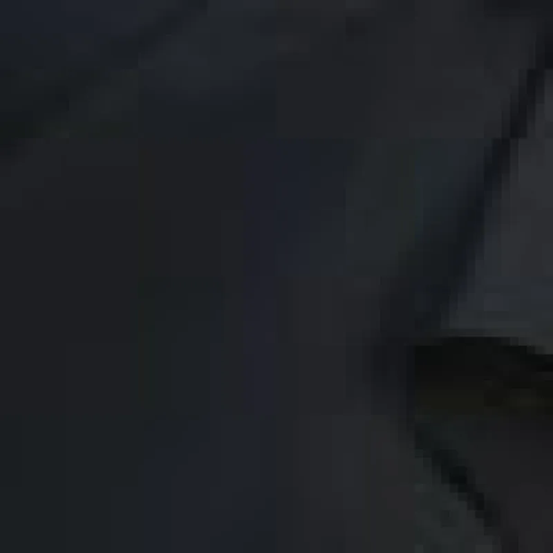 Embellished Sleeve Sheath Dress sold by Lord & Taylor