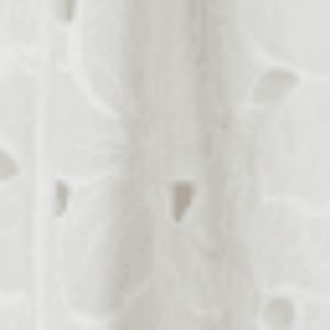 Embroidered Floral A Line Midi Skirt sold by Lord & Taylor