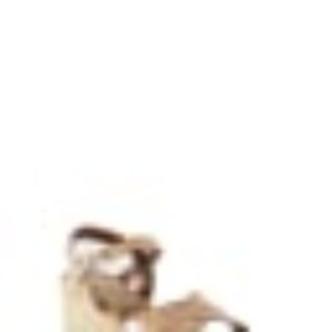 Antares Natural Leather Platform Heels sold by Lord & Taylor