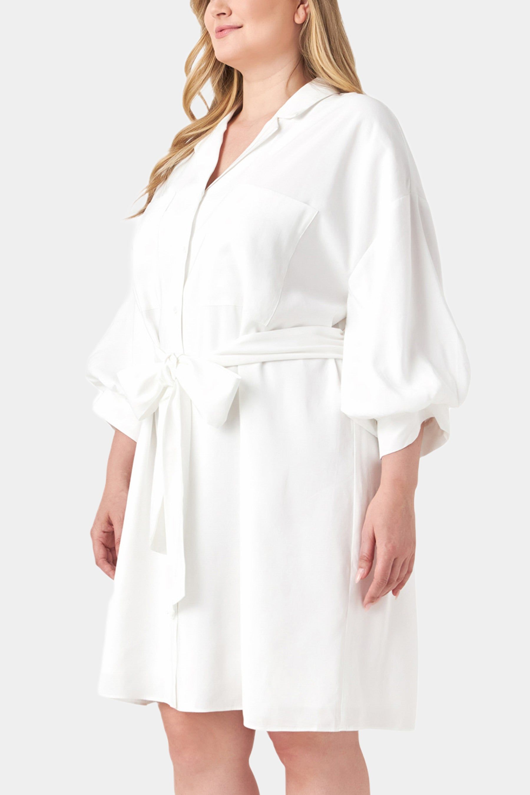 Blouson Sleeve Belted Shirt Dress sold by Lord & Taylor product image thumbnail 5