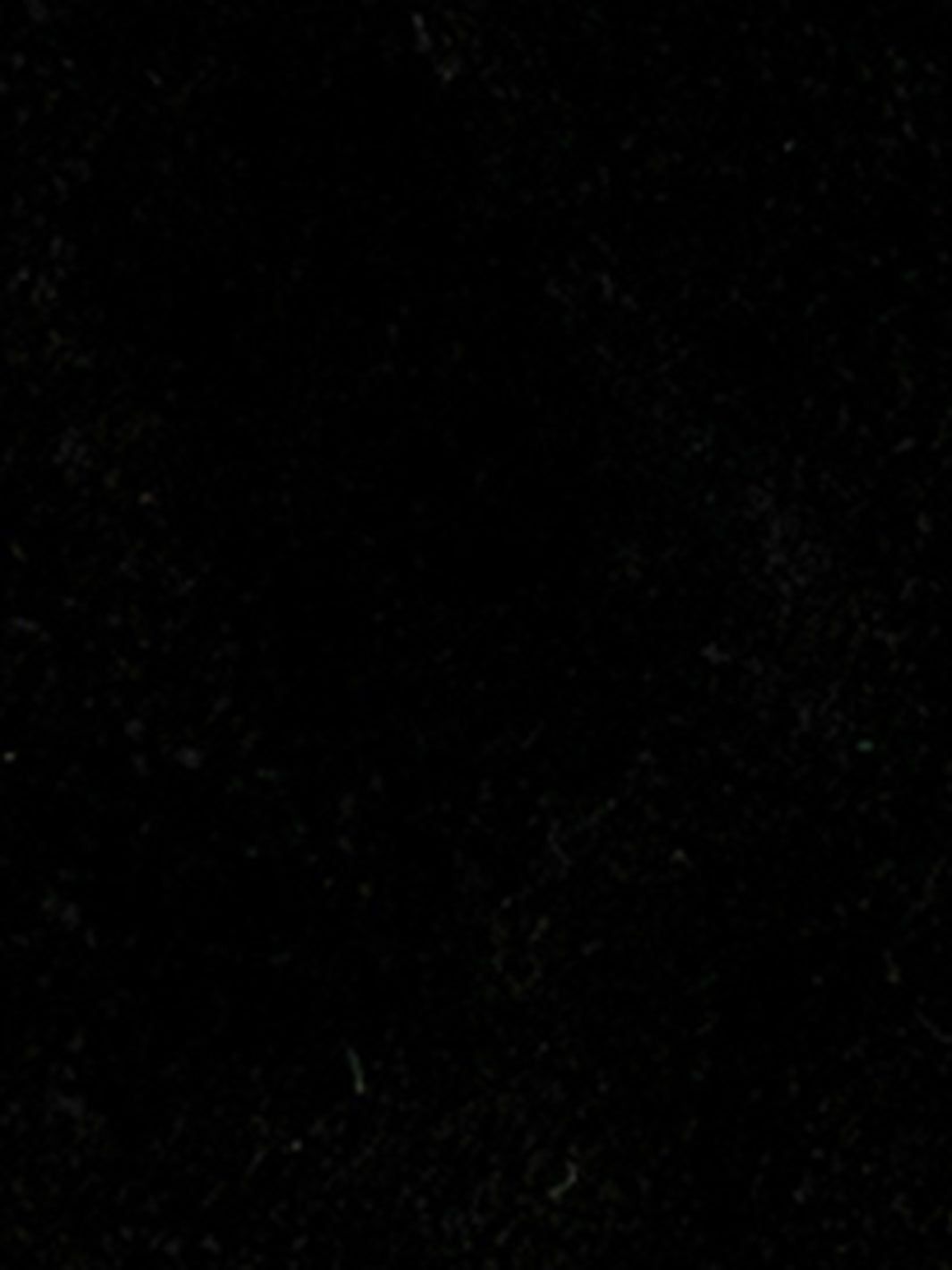 Gabbie Lace Up Booties sold by Lord & Taylor product image thumbnail 6