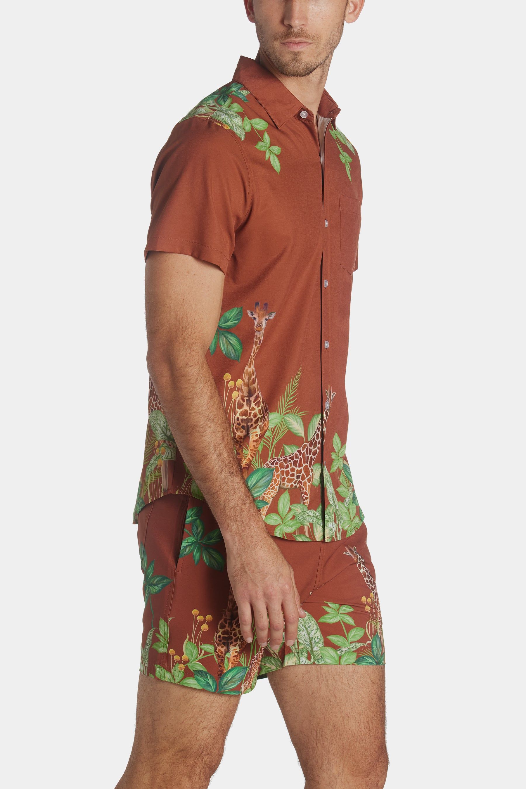 Safari Weekend Shirt sold by Lord & Taylor product image thumbnail 4