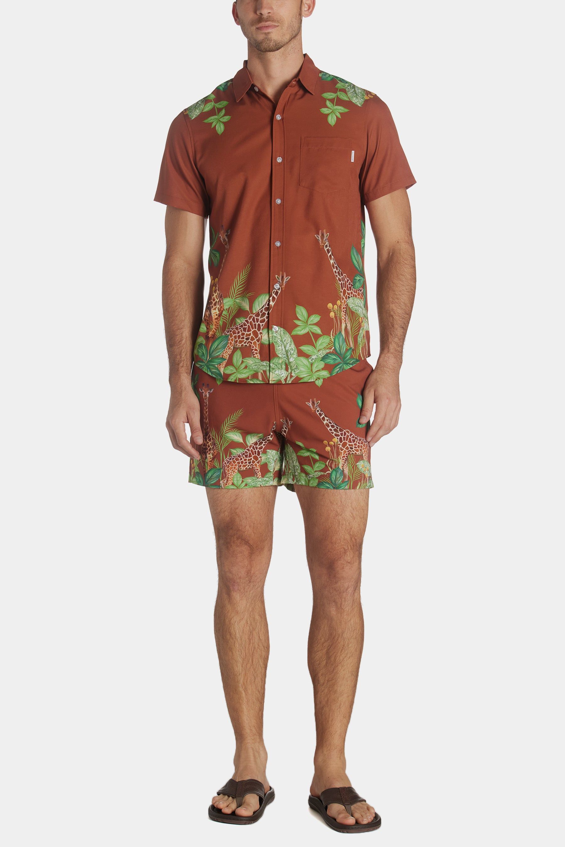 Safari Weekend Shirt sold by Lord & Taylor product image thumbnail 5
