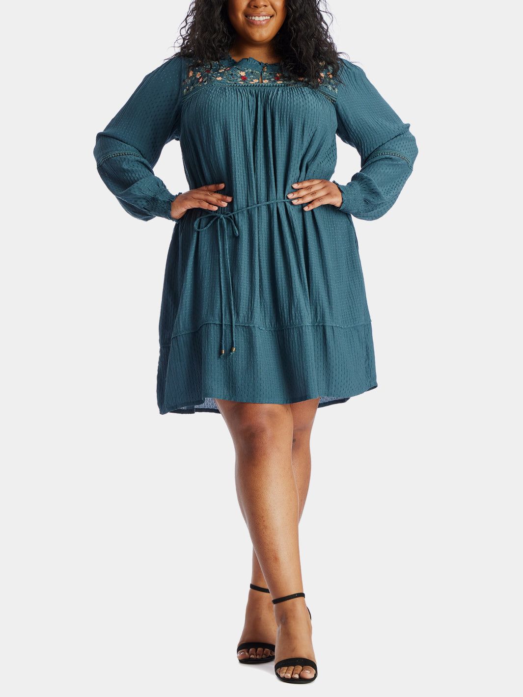 Lucy Embroidered Dress sold by Lord & Taylor product image thumbnail 11