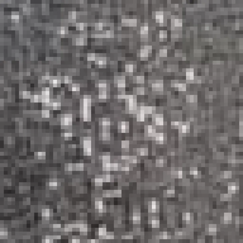 Zucca Zippy Wallet sold by Lord & Taylor