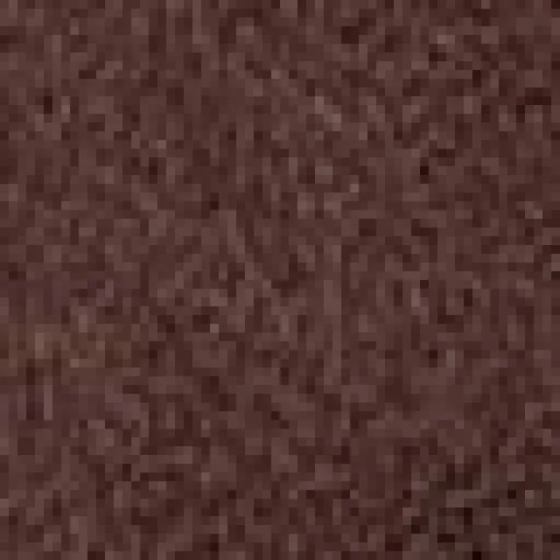 Cosy Tall Boot sold by Lord & Taylor