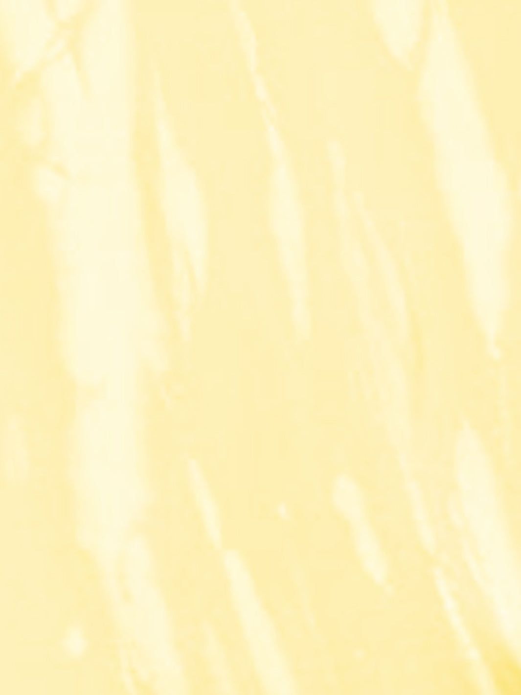 Tallulah Short Sleeve Woven Top sold by Lord & Taylor product image thumbnail 6