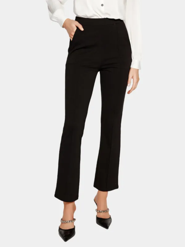 Belldini Black Label Pintuck Detail Ponte Pants sold by Lord & Taylor