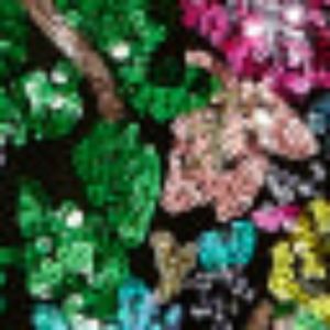 One Shoulder Floral Sequin Own sold by Lord & Taylor