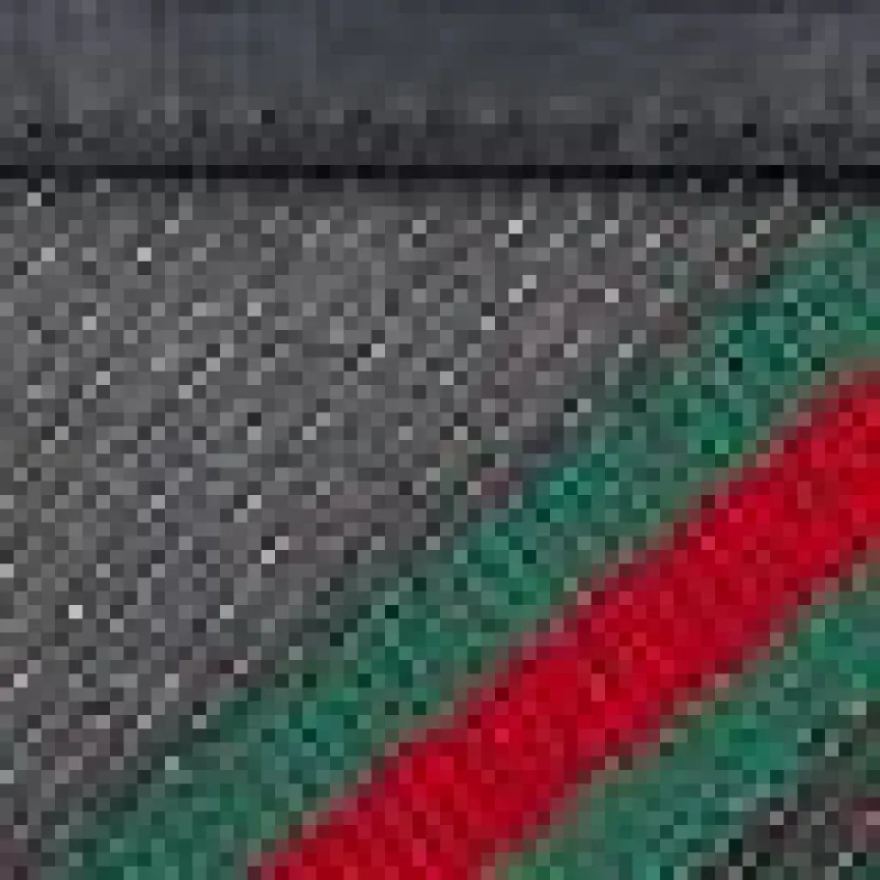 Web Pochette Bag sold by Lord & Taylor