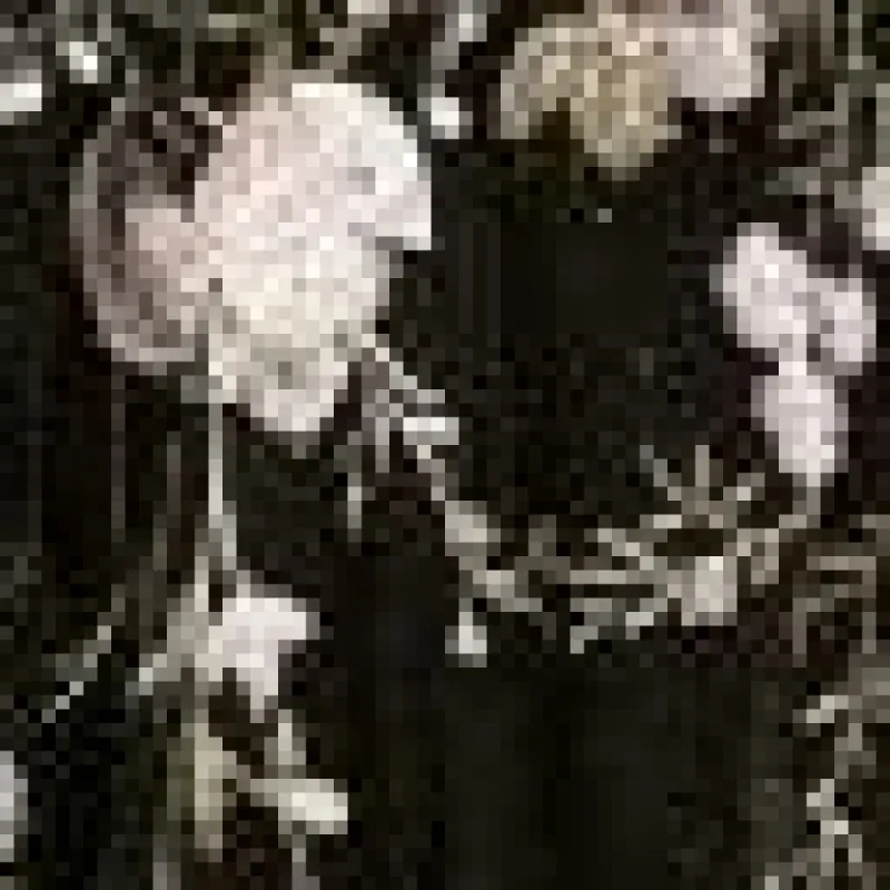 High Neck Long Sleeve Embroidered Dress sold by Lord & Taylor