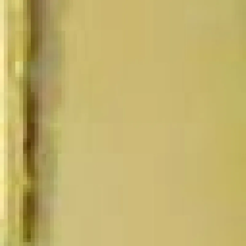 Initial P Diamond Accent Circle Necklace sold by Lord & Taylor