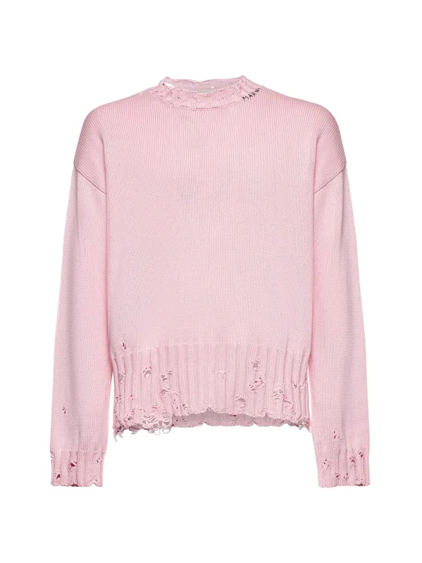 Pink cotton crewneck sweater sold by Lord & Taylor