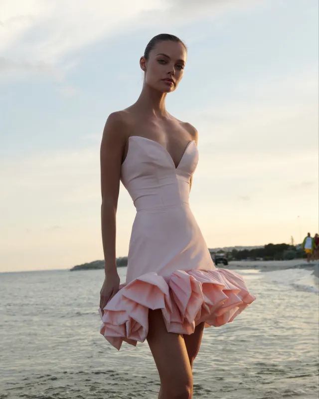 Swan Dress - Pink sold by Lord & Taylor